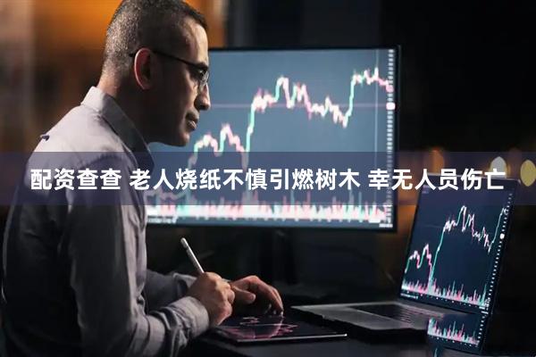 配资查查 老人烧纸不慎引燃树木 幸无人员伤亡