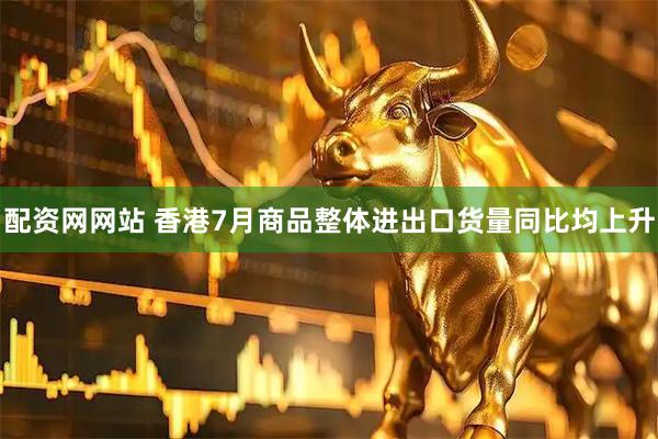 配资网网站 香港7月商品整体进出口货量同比均上升