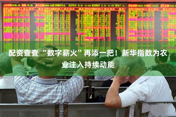 配资查查 “数字薪火”再添一把！新华指数为农业注入持续动能